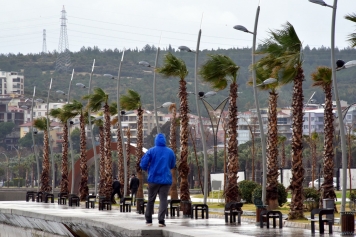 Meteorolojiden Aliağa İçin Fırtına ve Zirai Don Uyarısı Galeri