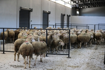 Aliağa’da Tarım Ekonomisi Gün Geçtikçe Büyüyor Galeri