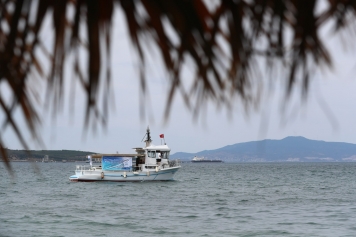 Aliağa’da Balık Ekmek Şenliği Galeri