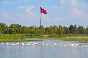 İzmir’in Nüfusu Artan Gözde İlçeleri Belli Oldu Galeri