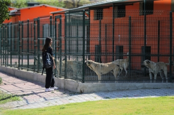 Aliağalı Öğrencilerden Pati Park’a Ziyaret Galeri