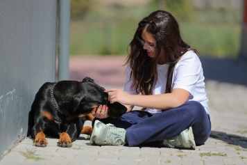 Aliağalı Öğrencilerden Pati Park’a Ziyaret Galeri