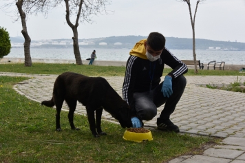 Aliağa Belediyesi’nden Can Dostlar İçin Seferberlik Galeri