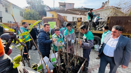 Aliağa’da Tarım Ekonomisi Gün Geçtikçe Büyüyor Galeri